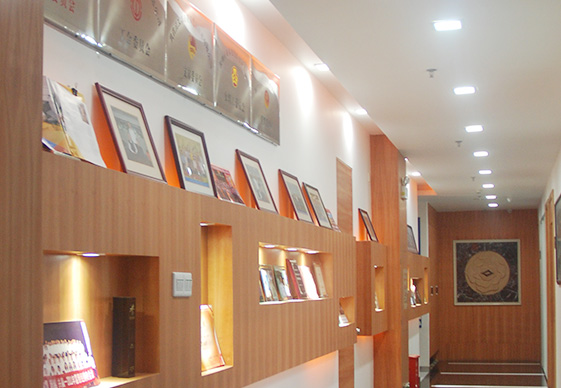 做為國產(chǎn)工業(yè)內(nèi)窺鏡設(shè)備老品牌廠家，深圳亞泰光電深耕工業(yè)內(nèi)窺鏡、工業(yè)管道內(nèi)窺鏡、工業(yè)視頻內(nèi)窺鏡等20余載，自主研發(fā)生產(chǎn)內(nèi)窺鏡產(chǎn)品具有多項(xiàng)發(fā)明專利，內(nèi)窺鏡廠家直銷，價(jià)格優(yōu)惠。